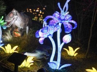 China Lights im K&ouml;lner Zoo