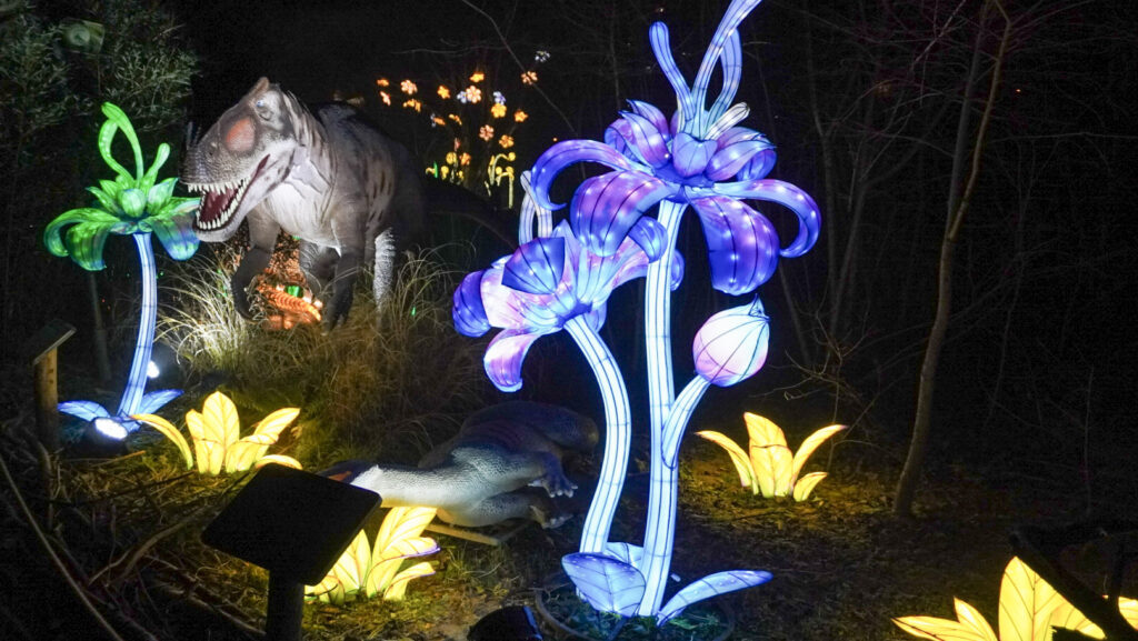 China Lights im K&ouml;lner Zoo