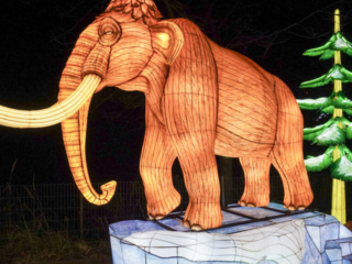 China Lights im K&ouml;lner Zoo