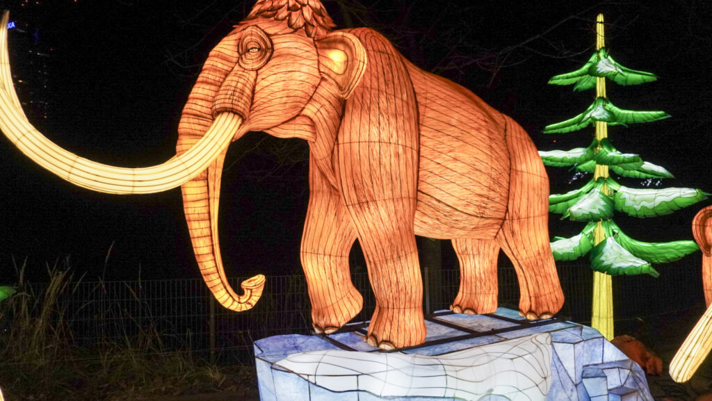 China Lights im K&ouml;lner Zoo