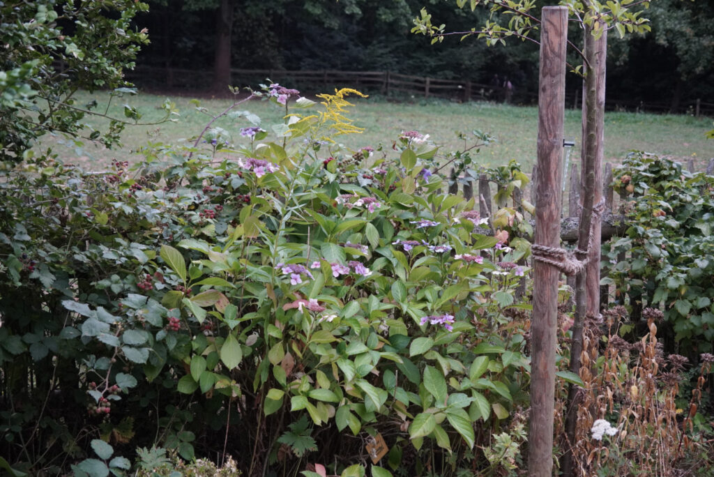 Zeitblende 1975 - Freilichtmuseum Kommern