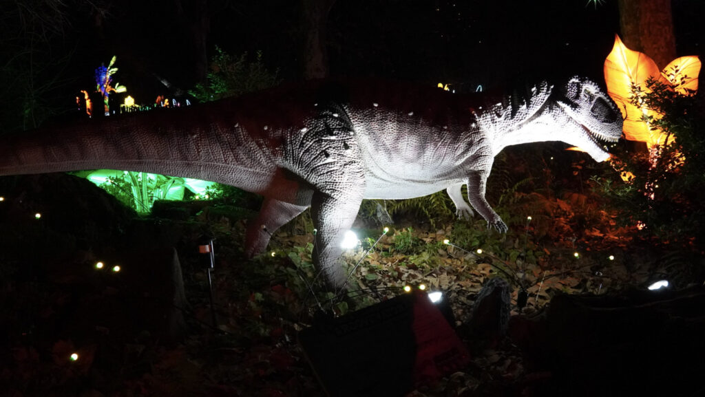 China Lights im K&ouml;lner Zoo