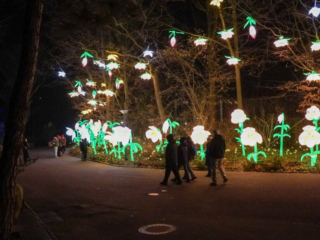 China Lights im K&ouml;lner Zoo