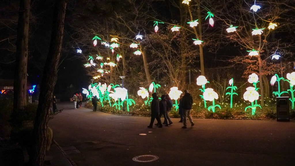 China Lights im K&ouml;lner Zoo
