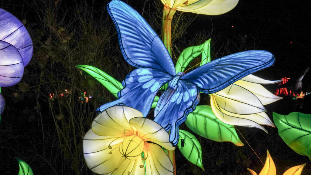 China Lights im K&ouml;lner Zoo