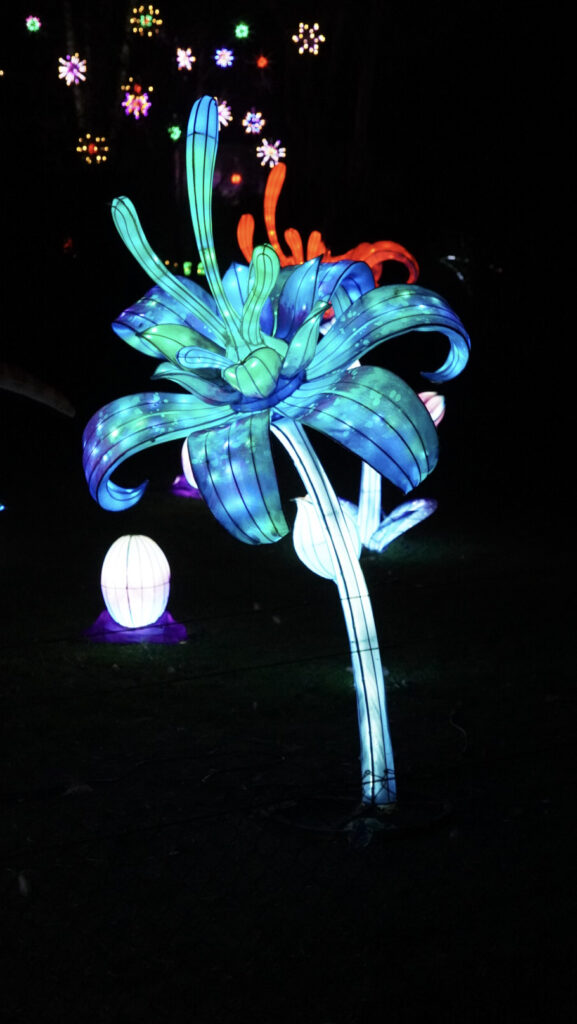 China Lights im K&ouml;lner Zoo