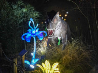 China Lights im K&ouml;lner Zoo