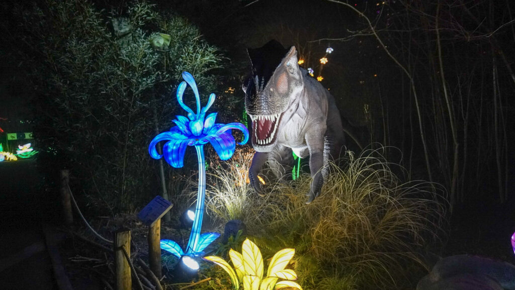 China Lights im K&ouml;lner Zoo