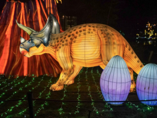 China Lights im K&ouml;lner Zoo
