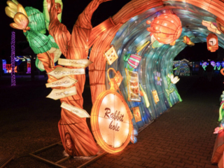 Garden of Lights Garden of Lights