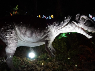 China Lights im K&ouml;lner Zoo
