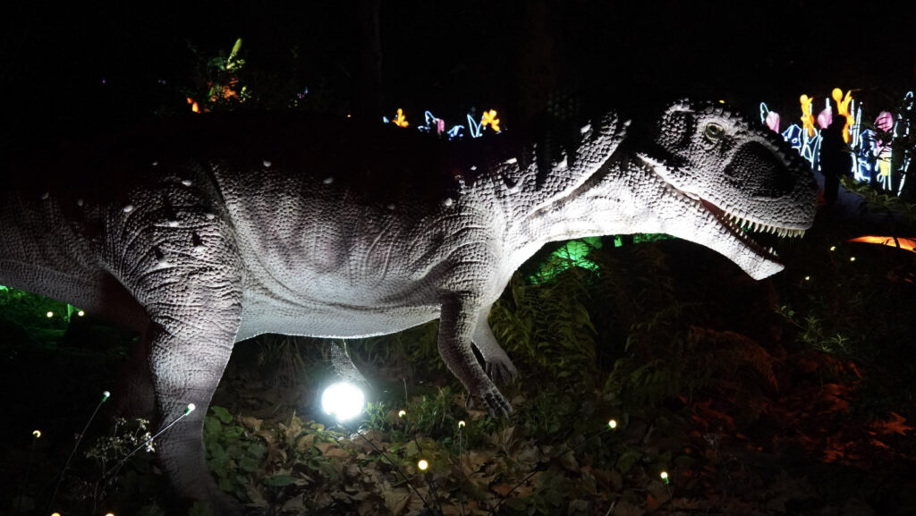 China Lights im K&ouml;lner Zoo