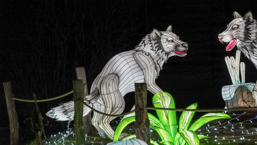 China Lights im K&ouml;lner Zoo
