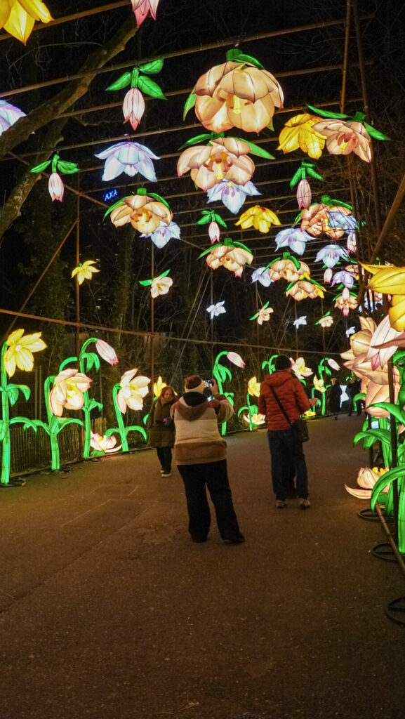 China Lights im K&ouml;lner Zoo