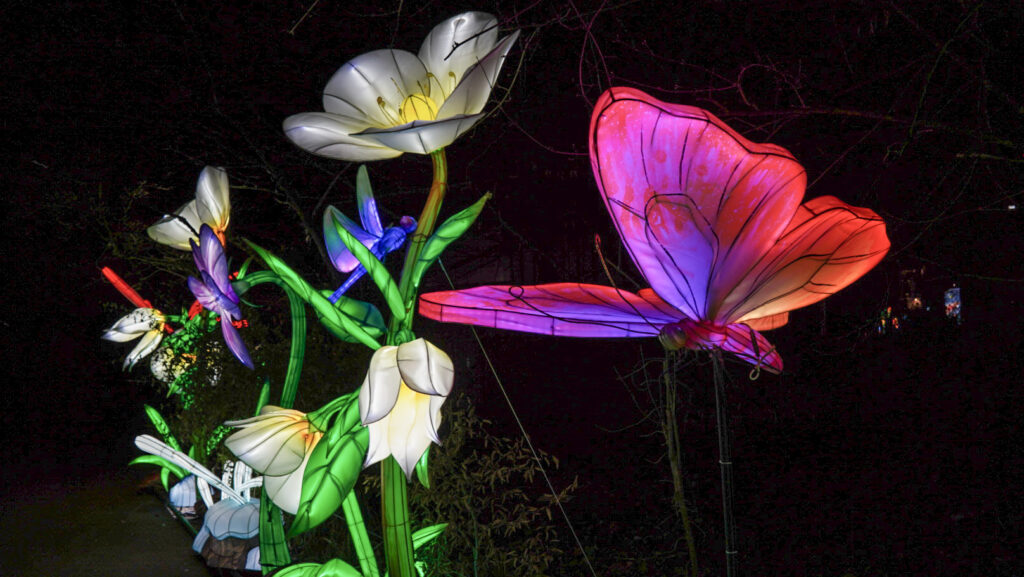 China Lights im K&ouml;lner Zoo