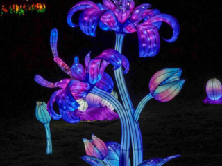 China Lights im K&ouml;lner Zoo