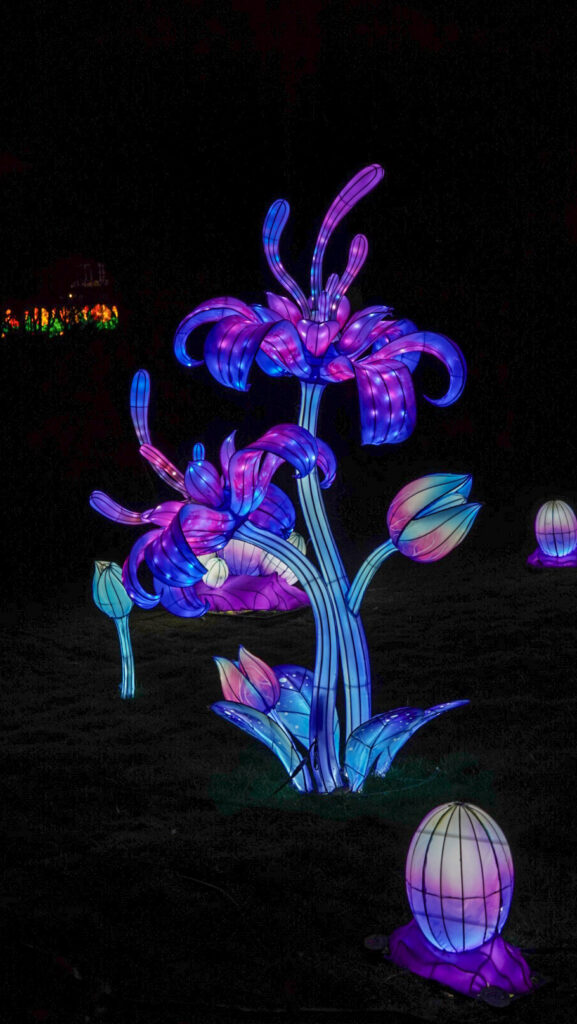 China Lights im K&ouml;lner Zoo