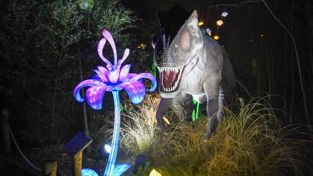 China Lights im K&ouml;lner Zoo