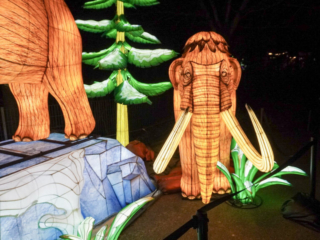 China Lights im K&ouml;lner Zoo
