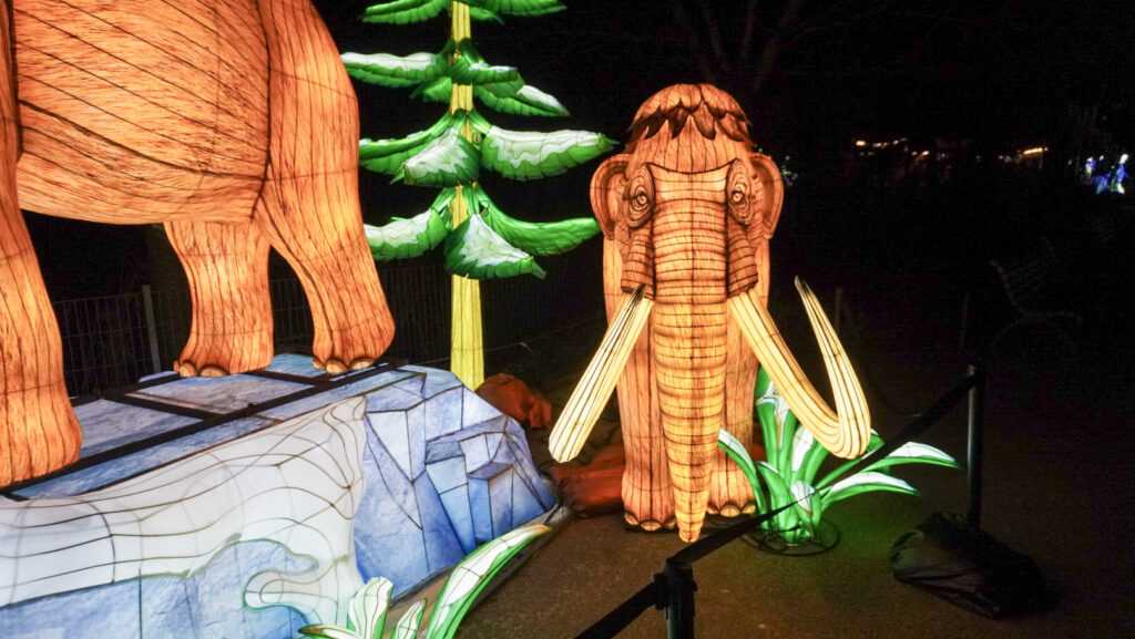 China Lights im K&ouml;lner Zoo