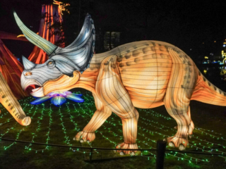 China Lights im K&ouml;lner Zoo