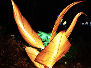China Lights im K&ouml;lner Zoo