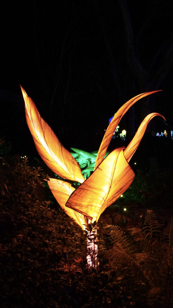 China Lights im K&ouml;lner Zoo