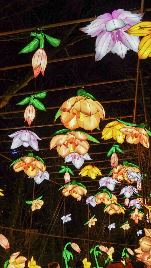 China Lights im K&ouml;lner Zoo