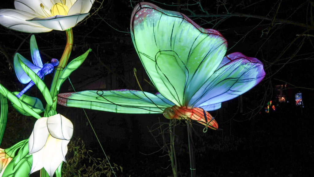 China Lights im K&ouml;lner Zoo