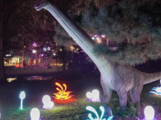 China Lights im K&ouml;lner Zoo