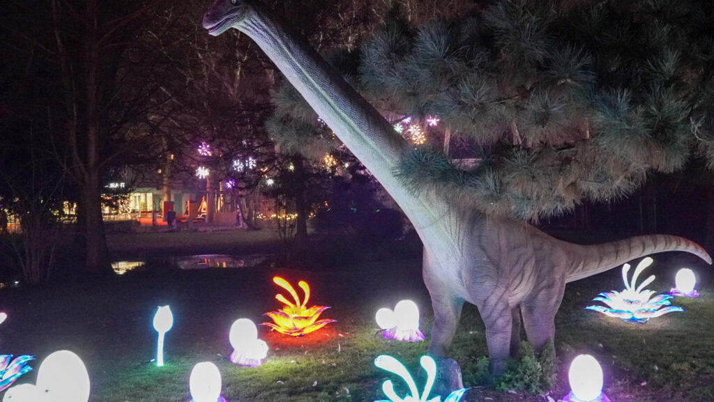 China Lights im K&ouml;lner Zoo