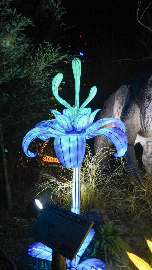 China Lights im K&ouml;lner Zoo