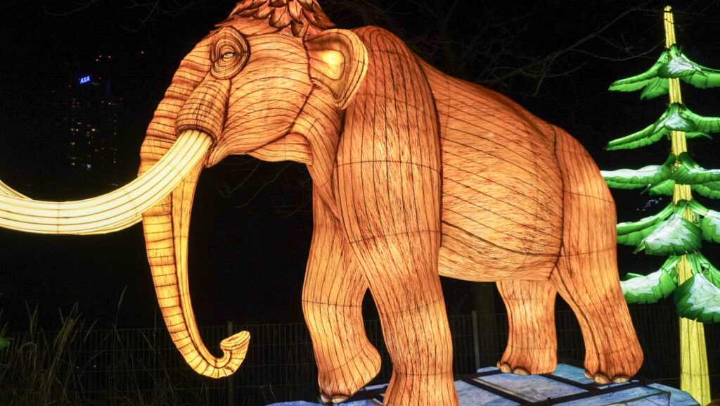 China Lights im K&ouml;lner Zoo