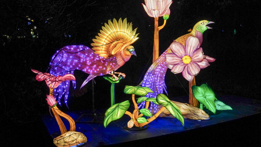 China Lights im K&ouml;lner Zoo