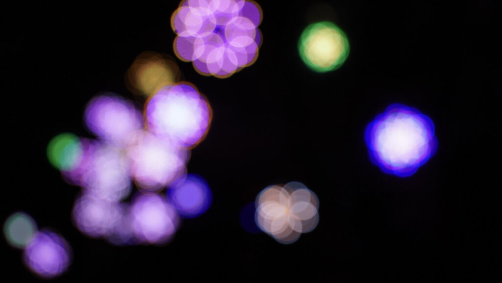 China Lights im K&ouml;lner Zoo