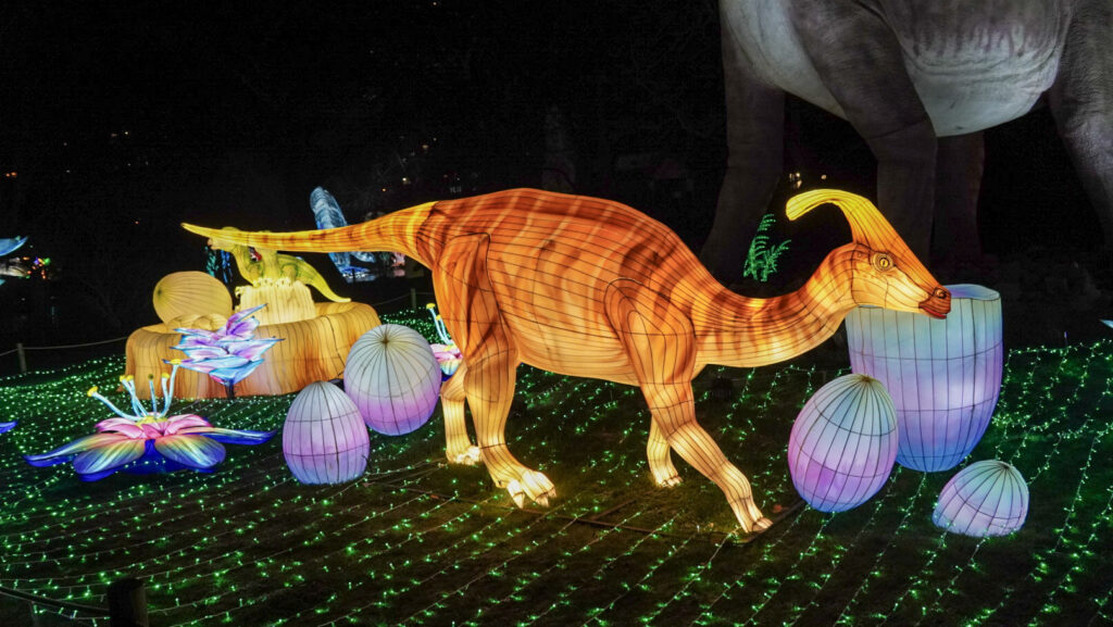 China Lights im K&ouml;lner Zoo