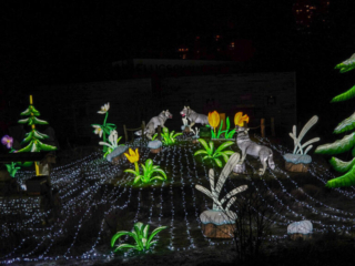China Lights im K&ouml;lner Zoo