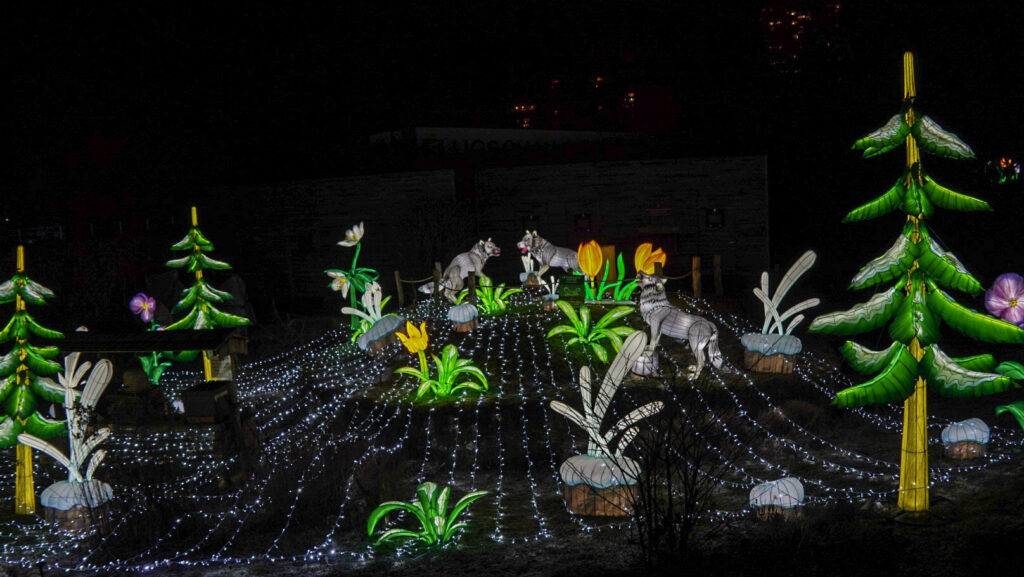 China Lights im K&ouml;lner Zoo