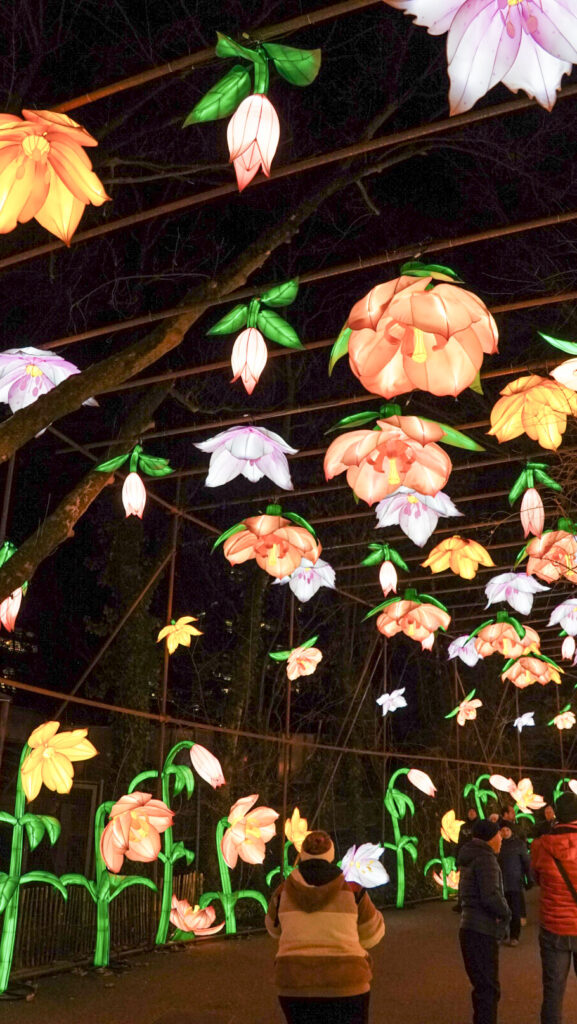 China Lights im K&ouml;lner Zoo