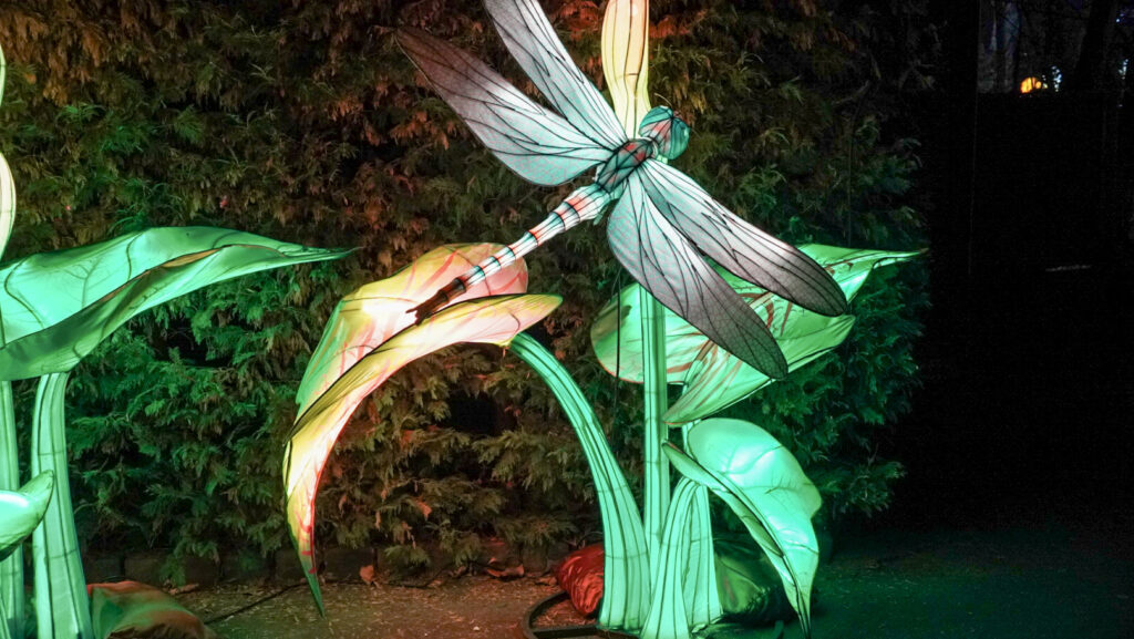 China Lights im K&ouml;lner Zoo