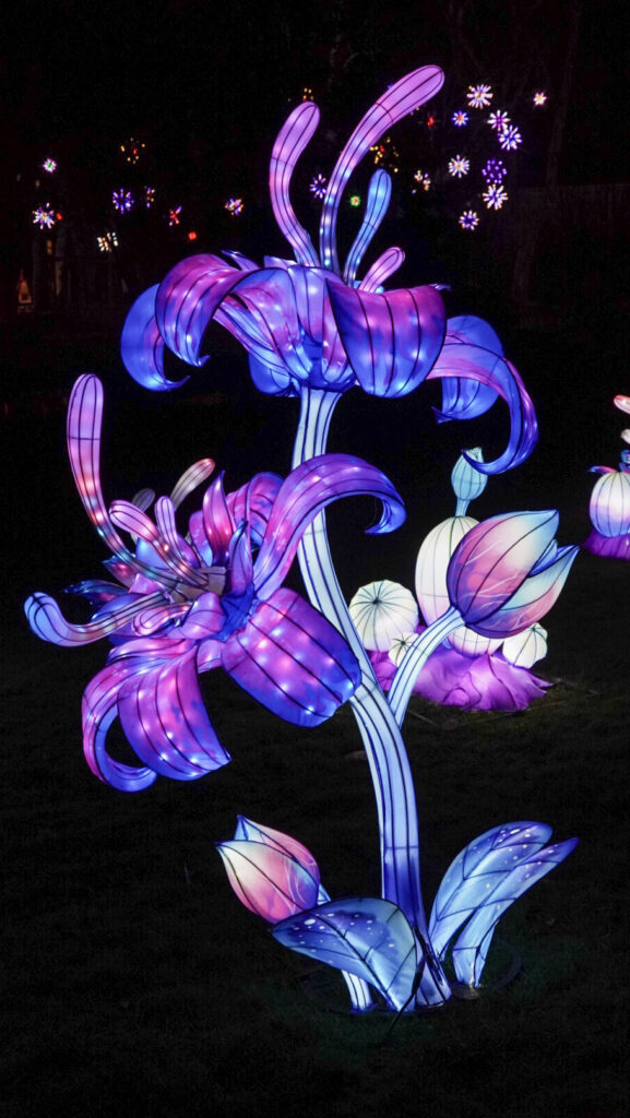 China Lights im K&ouml;lner Zoo