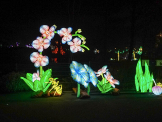China Lights im K&ouml;lner Zoo