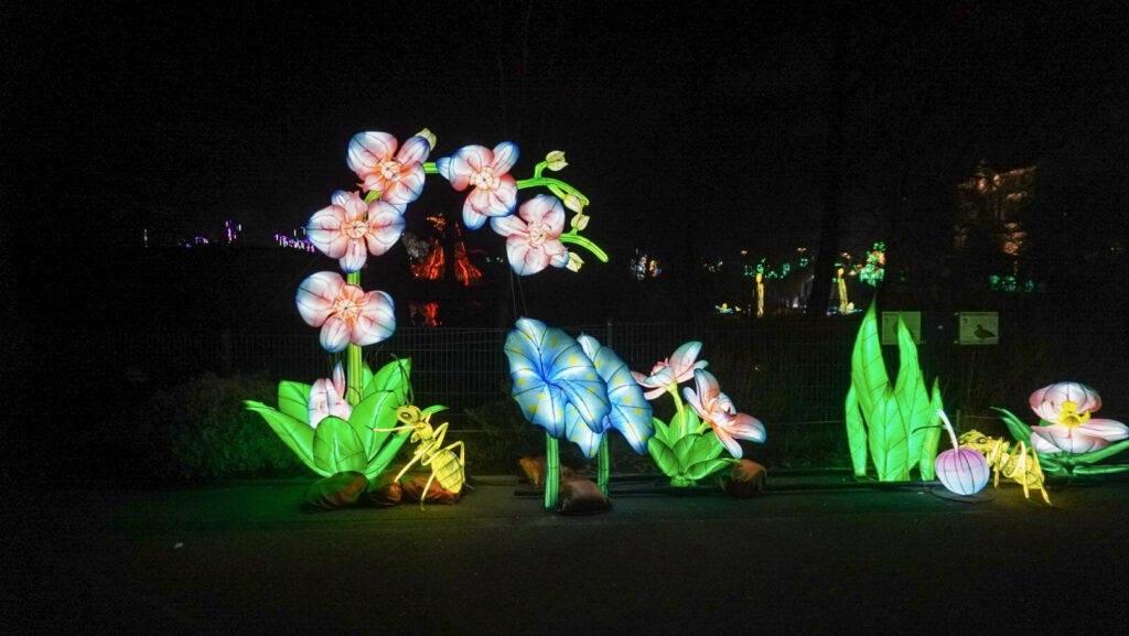China Lights im K&ouml;lner Zoo