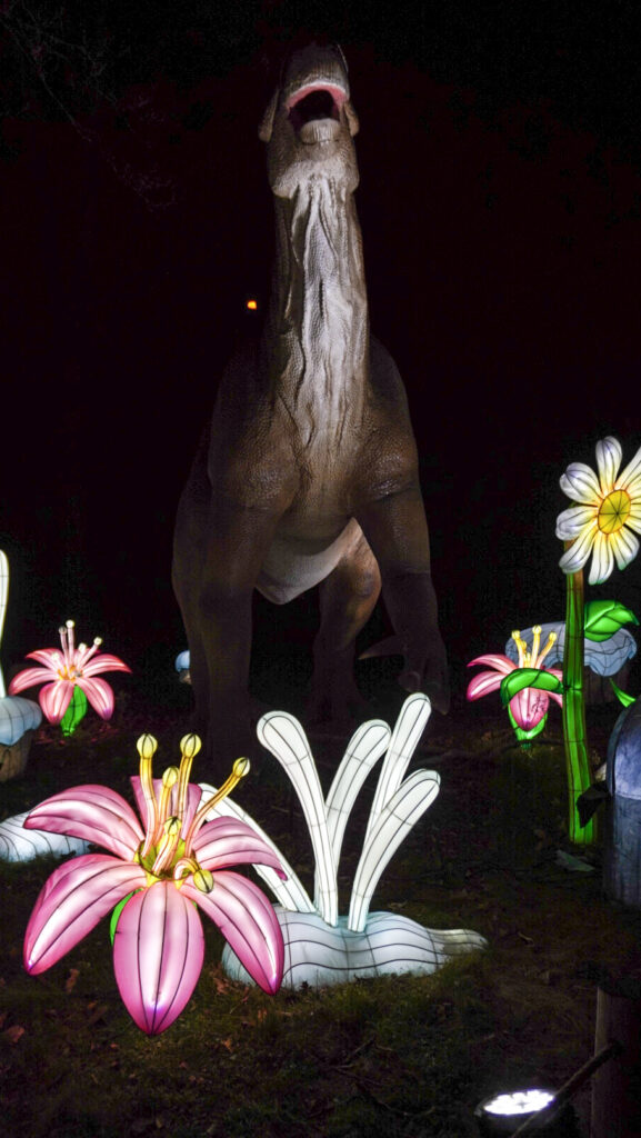 China Lights im K&ouml;lner Zoo