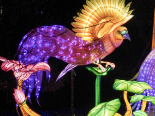 China Lights im K&ouml;lner Zoo