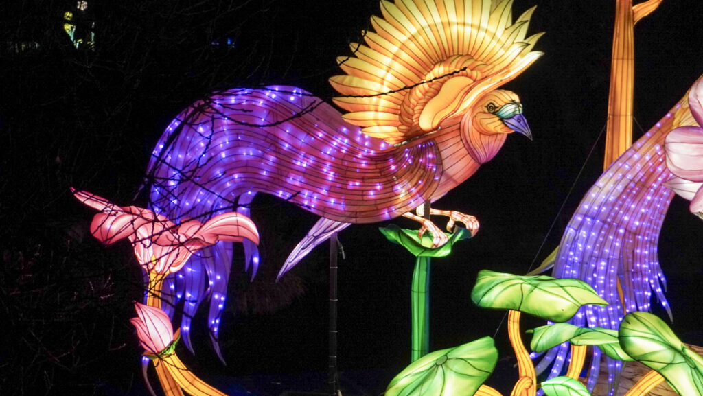 China Lights im K&ouml;lner Zoo