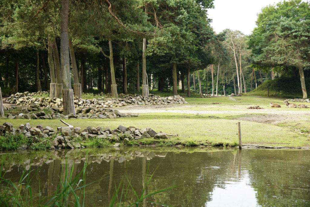 Burgers' Zoo Burgers' Zoo