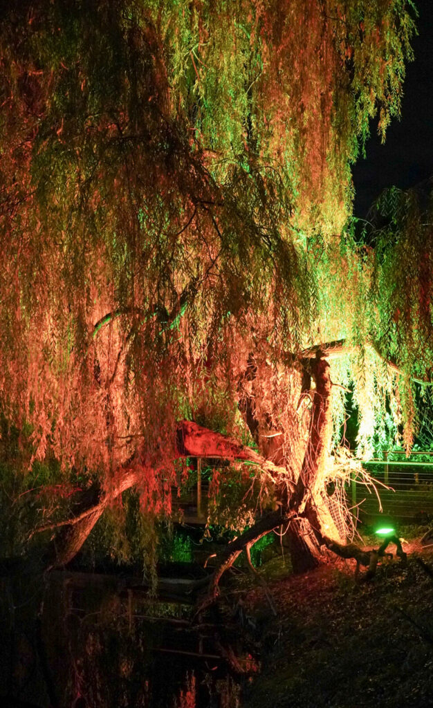Herbstlichter Br&uuml;ckenkopfpark J&uuml;lich