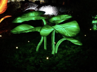 China Lights im K&ouml;lner Zoo