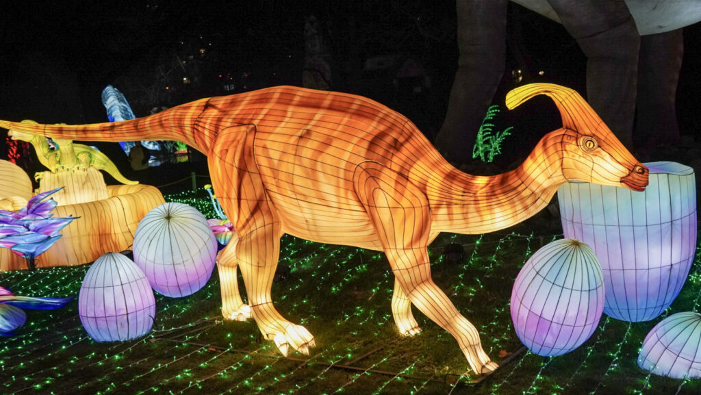 China Lights im K&ouml;lner Zoo